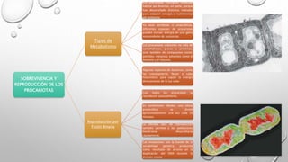 SOBREVIVENCIA Y 
REPRODUCCIÓN DE LOS 
PROCARIOTAS 
Tipos de 
Metabolismo 
Los procariotas consiguen colonizar 
hábitat tan diversos, en parte, porque 
han desarrollado distintos métodos 
para adquirir energía y nutrimentos 
del ambiente. 
Ya sean aeróbicas o anaeróbicas, 
diferentes especies de procariotas 
pueden extraer energía de una gama 
sorprendente de sustancias. 
Los procariotas subsisten no sólo de 
carbohidratos, grasas y proteínas, 
sino también de compuestos como: 
petróleo, metano y solventes como el 
benceno y el tolueno. 
Algunas especies de bacterias, como 
las cianobacterias llevan a cabo 
fotosíntesis para captar la energía 
directamente de la luz solar. 
Reproducción por 
Fisión Binaria 
Casi todos los procariotas se 
reproducen asexualmente. 
En condiciones ideales, una célula 
procariótica se divide 
aproximadamente una vez cada 20 
minutos. 
La elevada tasa de reproducción 
también permite a las poblaciones 
bacterianas desarrollarse 
rápidamente. 
Las mutaciones son la fuente de la 
variabilidad genética, producida 
como resultado de errores en la 
duplicación del DNA durante la 
división celular 
 