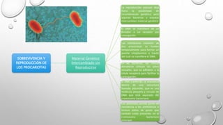 SOBREVIVENCIA Y 
REPRODUCCIÓN DE 
LOS PROCARIOTAS 
Material Genético 
Intercambiado sin 
Reproducirse 
La reproducción asexual deja 
fuera la posibilidad de 
recombinación genética; pero 
algunas bacterias y arqueas 
intercambian material genético 
El DNA se transfiere de un 
donador a un receptor por 
conjugación. 
Las membranas celulares de 
dos procariotas se funden 
temporalmente para formar un 
puente citoplásmico a través 
del cual se transfiere el DNA. 
En las bacterias, las células 
donadoras utilizan los pelos 
sexuales, que se adhieren a la 
célula receptora para facilitar la 
conjugación. 
El DNA tranferido se encuentra 
dentro de una estructura 
llamada plásmido, que es una 
molécula pequeña y circular de 
DNA que está separada del 
cromosoma bacteriano. 
Los plásmidos portan genes de 
resistencia a los antibióticos e 
incluso alelos de genes que 
también están presentes en el 
cromosoma bacteriano 
principal. 
 