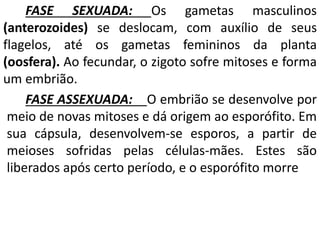 FASE SEXUADA: Os gametas masculinos 
(anterozoides) se deslocam, com auxílio de seus 
flagelos, até os gametas femininos da planta 
(oosfera). Ao fecundar, o zigoto sofre mitoses e forma 
um embrião. 
FASE ASSEXUADA: O embrião se desenvolve por 
meio de novas mitoses e dá origem ao esporófito. Em 
sua cápsula, desenvolvem-se esporos, a partir de 
meioses sofridas pelas células-mães. Estes são 
liberados após certo período, e o esporófito morre 
 