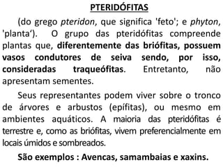 PTERIDÓFITAS 
(do grego pteridon, que significa 'feto'; e phyton, 
'planta‘). O grupo das pteridófitas compreende 
plantas que, diferentemente das briófitas, possuem 
vasos condutores de seiva sendo, por isso, 
consideradas traqueófitas. Entretanto, não 
apresentam sementes. 
Seus representantes podem viver sobre o tronco 
de árvores e arbustos (epífitas), ou mesmo em 
ambientes aquáticos. A maioria das pteridófitas é 
terrestre e, como as briófitas, vivem preferencialmente em 
locais úmidos e sombreados. 
São exemplos : Avencas, samambaias e xaxins. 
 