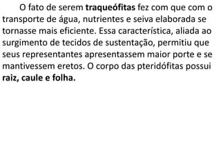O fato de serem traqueófitas fez com que com o 
transporte de água, nutrientes e seiva elaborada se 
tornasse mais eficiente. Essa característica, aliada ao 
surgimento de tecidos de sustentação, permitiu que 
seus representantes apresentassem maior porte e se 
mantivessem eretos. O corpo das pteridófitas possui 
raiz, caule e folha. 
 
