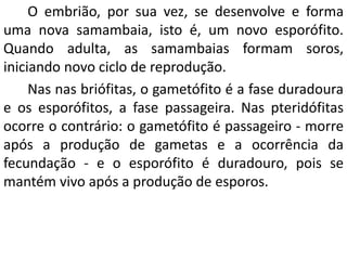 O embrião, por sua vez, se desenvolve e forma 
uma nova samambaia, isto é, um novo esporófito. 
Quando adulta, as samambaias formam soros, 
iniciando novo ciclo de reprodução. 
Nas nas briófitas, o gametófito é a fase duradoura 
e os esporófitos, a fase passageira. Nas pteridófitas 
ocorre o contrário: o gametófito é passageiro - morre 
após a produção de gametas e a ocorrência da 
fecundação - e o esporófito é duradouro, pois se 
mantém vivo após a produção de esporos. 
 