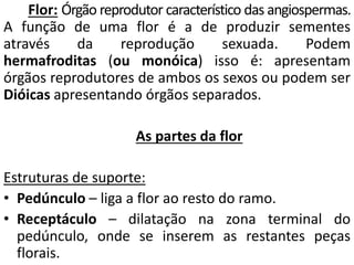 Flor: Órgão reprodutor característico das angiospermas. 
A função de uma flor é a de produzir sementes 
através da reprodução sexuada. Podem 
hermafroditas (ou monóica) isso é: apresentam 
órgãos reprodutores de ambos os sexos ou podem ser 
Dióicas apresentando órgãos separados. 
As partes da flor 
Estruturas de suporte: 
• Pedúnculo – liga a flor ao resto do ramo. 
• Receptáculo – dilatação na zona terminal do 
pedúnculo, onde se inserem as restantes peças 
florais. 
 