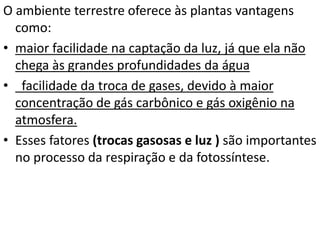 O ambiente terrestre oferece às plantas vantagens 
como: 
• maior facilidade na captação da luz, já que ela não 
chega às grandes profundidades da água 
• facilidade da troca de gases, devido à maior 
concentração de gás carbônico e gás oxigênio na 
atmosfera. 
• Esses fatores (trocas gasosas e luz ) são importantes 
no processo da respiração e da fotossíntese. 
 