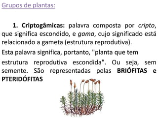 Grupos de plantas: 
1. Criptogâmicas: palavra composta por cripto, 
que significa escondido, e gama, cujo significado está 
relacionado a gameta (estrutura reprodutiva). 
Esta palavra significa, portanto, "planta que tem 
estrutura reprodutiva escondida". Ou seja, sem 
semente. São representadas pelas BRIÓFITAS e 
PTERIDÓFITAS 
 