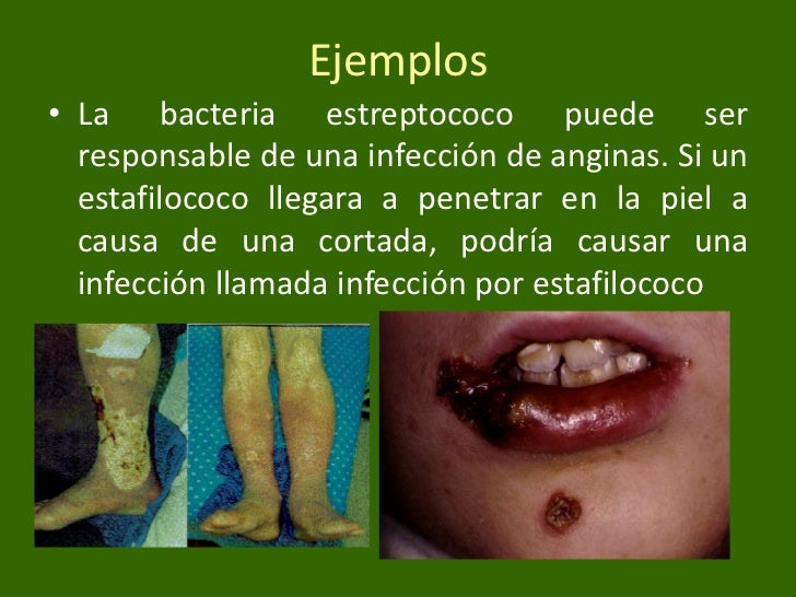 Reino Eubacteria