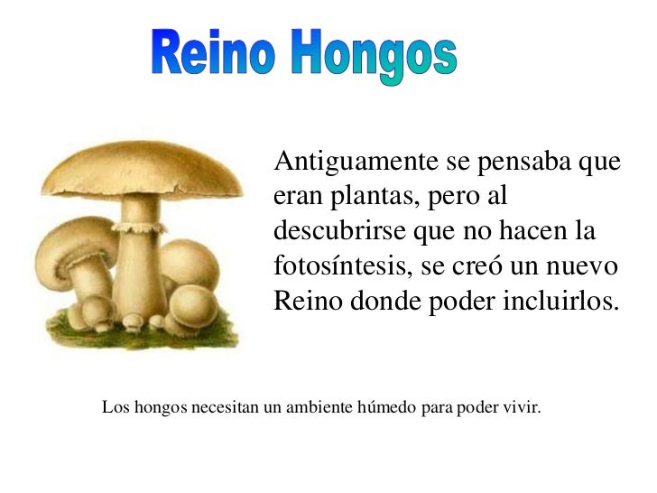 Que hacer si al niño el hongo de la uña