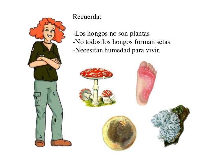 Los métodos públicos del tratamiento del hongo de las uñas y la piel