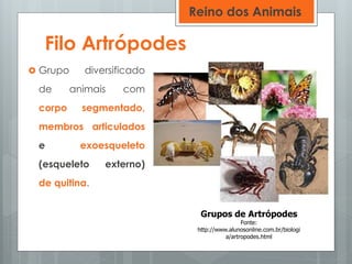Filo Artrópodes
 Grupo diversificado
de animais com
corpo segmentado,
membros articulados
e exoesqueleto
(esqueleto externo)
de quitina.
Grupos de Artrópodes
Fonte:
http://www.alunosonline.com.br/biologi
a/artropodes.html
Reino dos Animais
 