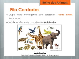 Filo Cordados
 Grupo muito heterogéneo que apresenta corda dorsal
(notocorda).
 Inclui 4 sub-filos, entre os quais o dos Vertebrados.
Vertebrados
Fonte: http://paleostories.blogspot.pt/2014_02_01_archive.html
Reino dos Animais
 