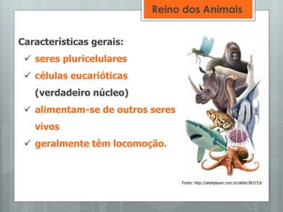 Características gerais:
 seres pluricelulares
 células eucarióticas
(verdadeiro núcleo)
 alimentam-se de outros seres
vivos
 geralmente têm locomoção.
Reino dos Animais
Fonte: http://slideplayer.com.br/slide/383153/
 