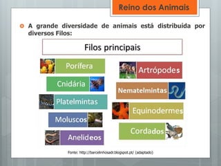  A grande diversidade de animais está distribuída por
diversos Filos:
Reino dos Animais
Fonte: http://barcelinhosadr.blogspot.pt/ (adaptado)
 