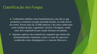 Classificação dos Fungos
 Conhecidos também como basidiomicetos, eles são os que
produzem a estrutura sexuada chamada basídio, de onde deriva
seu nome. Possui mais de 22.000 espécies e são mais conhecidos
como orelhas-de-pau, cogumelos, carvões e ferrugens, sendo
estes dois responsáveis por causar doenças em plantas.
 Algumas espécies são comestíveis, enquanto que outras são
terminantemente venenosas, como é o caso do Agaricius
(conhecido como champignon) e o Amanita Muscaria .
 