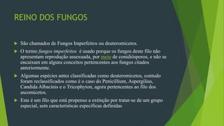 REINO DOS FUNGOS
 São chamados de Fungos Imperfeitos ou deuteromicetos.
 O termo fungos imperfeitos é usado porque os fungos deste filo não
apresentam reprodução assexuada, por meio de conidiósporos, e não se
encaixam em alguns conceitos pertencentes aos fungos citados
anteriormente.
 Algumas espécies antes classificadas como deuteromicetos, contudo
foram reclassificados como é o caso do Penicillium, Aspergilius,
Candida Albacinis e o Tricophyton, agora pertencentes ao filo dos
ascomicetos.
 Este é um filo que está propenso a extinção por tratar-se de um grupo
especial, sem características específicas definidas
 