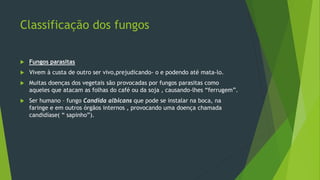Classificação dos fungos
 Fungos parasitas
 Vivem à custa de outro ser vivo,prejudicando- o e podendo até mata-lo.
 Muitas doenças dos vegetais são provocadas por fungos parasitas como
aqueles que atacam as folhas do café ou da soja , causando-lhes “ferrugem”.
 Ser humano – fungo Candida albicans que pode se instalar na boca, na
faringe e em outros órgãos internos , provocando uma doença chamada
candidíase( “ sapinho”).
 