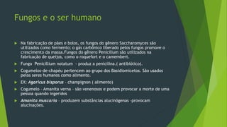 Fungos e o ser humano
 Na fabricação de pães e bolos, os fungos do gênero Saccharomyces são
utilizados como fermento; o gás carbônico liberado pelos fungos promove o
crescimento da massa.Fungos do gênero Penicilium são utilizados na
fabricação de queijos, como o roquefort e o camembert.
 Fungo Penicillium notatum - produz a penicilina.( antibiótico).
 Cogumelos-de-chapéu pertencem ao grupo dos Basidiomicetos. São usados
pelos seres humanos como alimento.
 EX: Agaricus bisporus – champignon ( alimento)
 Cogumelo – Amanita verna – são venenosos e podem provocar a morte de uma
pessoa quando ingeridos
 Amanita muscaria – produzem substâncias alucinógenas –provocam
alucinações.
 