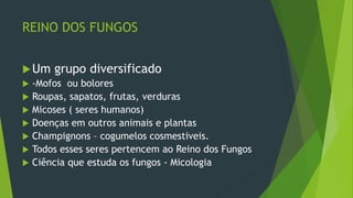 REINO DOS FUNGOS
Um grupo diversificado
 -Mofos ou bolores
 Roupas, sapatos, frutas, verduras
 Micoses ( seres humanos)
 Doenças em outros animais e plantas
 Champignons – cogumelos cosmestiveis.
 Todos esses seres pertencem ao Reino dos Fungos
 Ciência que estuda os fungos - Micologia
 