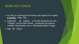 REINO DOS FUNGOS
 As hifas se entrelaçam formando uma espécie de chapéu,
o micélio. ( Pág. 102)
 Cogumelo - de – chapéu - o micélio apresenta em seu
“chapéu” muitas hifas férteis , produtoras de esporos
unidade relacionadas com a reprodução desses fungos.
 Pág. 102 - Figura
 