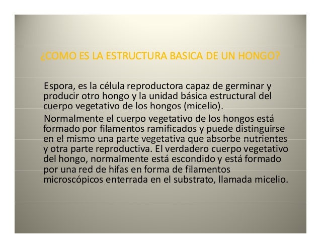 El ungüento para los pies del hongo y el precio
