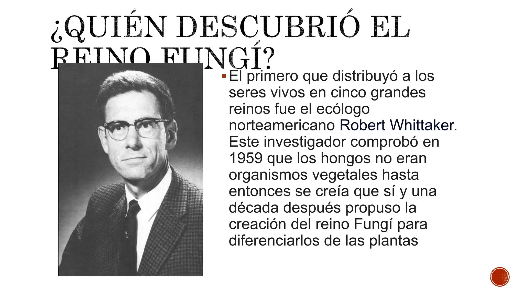 Reino Fungí (1) corregida actividad para la clase de ciencias dirigida a  todos los bachilleres de medicina | PPTX