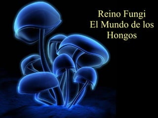 Reino Fungi El Mundo de los Hongos 