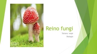 Reino fungi
Tatiana taipe
Biologia
 