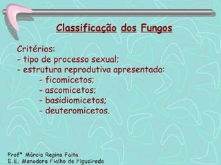 Classificação   dos   Fungos Critérios: - tipo de processo sexual; - estrutura reprodutiva apresentada: - ficomicetos; - ascomicetos; - basidiomicetos; - deuteromicetos. 