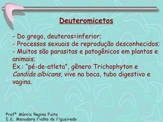 Deuteromicetos - Do grego, deuteros=inferior; - Processos sexuais de reprodução desconhecidos; - Muitos são parasitas e patogênicos em plantas e animais; Ex.: “pé-de-atleta”, gênero Trichophyton e  Candida albicans , vive na boca, tubo digestivo e vagina. 