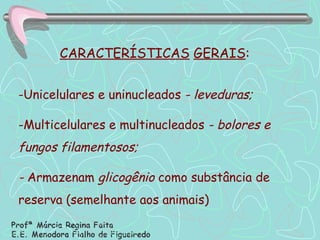 Unicelulares e uninucleados  - leveduras; Multicelulares e multinucleados  - bolores e fungos filamentosos; -  Armazenam  glicogênio  como substância de reserva (semelhante aos animais) CARACTERÍSTICAS   GERAIS : 