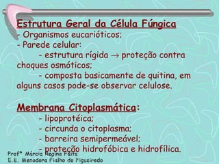 Estrutura Geral da Célula Fúngica - Organismos eucarióticos; - Parede celular: - estrutura rígida    proteção contra choques osmóticos; - composta basicamente de quitina, em alguns casos pode-se observar celulose. Membrana Citoplasmática : - lipoprotéica; - circunda o citoplasma; - barreira semipermeável; - proteção hidrofóbica e hidrofílica. 