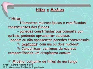 Hifas   e   Micélios Hifas :  - filamentos microscópicos e ramificados constituintes dos fungos - paredes constituídas basicamente por quitina, podendo apresentar celulose;  - podem ou não apresentar paredes transversais:    Septadas : com um ou dois núcleos;    Cenocíticas : centenas de núcleos compartilhando um citoplasma comum.    Micélio:  conjunto de hifas de um fungo 