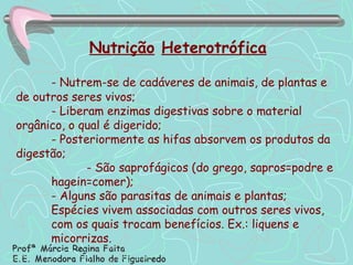 Nutrição   Heterotrófica - Nutrem-se de cadáveres de animais, de plantas e de outros seres vivos; - Liberam enzimas digestivas sobre o material orgânico, o qual é digerido; - Posteriormente as hifas absorvem os produtos da digestão; - São saprofágicos (do grego, sapros=podre e  hagein=comer); - Alguns são parasitas de animais e plantas; Espécies vivem associadas com outros seres vivos, com os quais trocam benefícios. Ex.: liquens e micorrizas. 