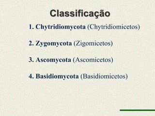 Classificação
1. Chytridiomycota (Chytridiomicetos)

2. Zygomycota (Zigomicetos)

3. Ascomycota (Ascomicetos)

4. Basidiomycota (Basidiomicetos)
 