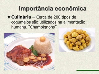 Importância econômica
Culinária – Cerca de 200 tipos de
cogumelos são utilizados na alimentação
humana. “Champignons”
 
