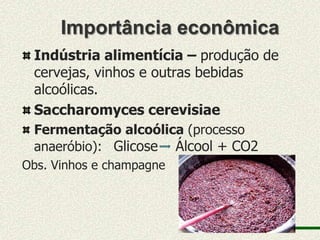 Importância econômica
 Indústria alimentícia – produção de
 cervejas, vinhos e outras bebidas
 alcoólicas.
 Saccharomyces cerevisiae
 Fermentação alcoólica (processo
 anaeróbio): Glicose Álcool + CO2
Obs. Vinhos e champagne
 
