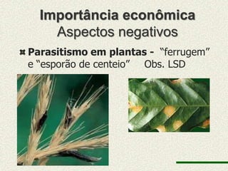Importância econômica
    Aspectos negativos
Parasitismo em plantas - “ferrugem”
e “esporão de centeio” Obs. LSD
 