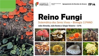 Reino FungiSistemática dos Seres Vivos – Biologia 11ºANO
Agrupamento de Escolas de Arouca
João Almeida, João Bastos e Sérgio Teixeira – 11ºA
 
