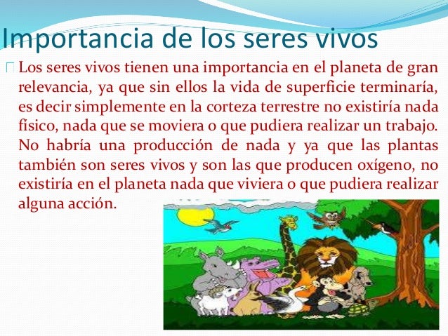 Reino fungi.plantae los 5 reinos