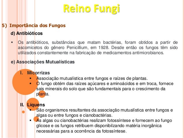 Como curei um fungo de pregos medicina de respostas permanente