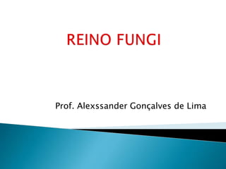 Prof. Alexssander Gonçalves de Lima
 