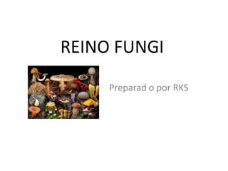 REINO FUNGI
Preparad o por RKS
 