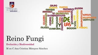 Reino Fungi
Evolución y Biodiversidad
M en C Ana Cristina Márquez Sánchez
1
 