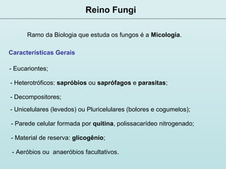 Reino Fungi
Características Gerais
Ramo da Biologia que estuda os fungos é a Micologia.
- Eucariontes;
- Heterotróficos: sapróbios ou saprófagos e parasitas;
- Decompositores;
- Unicelulares (levedos) ou Pluricelulares (bolores e cogumelos);
- Parede celular formada por quitina, polissacarídeo nitrogenado;
- Material de reserva: glicogênio;
- Aeróbios ou anaeróbios facultativos.
 