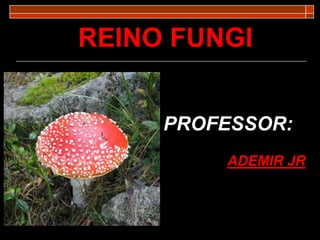 REINO FUNGI
PROFESSOR:
ADEMIR JR
 