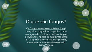 Reino Fungi Resumo geral e características.pptx