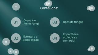 Reino Fungi Resumo geral e características.pptx