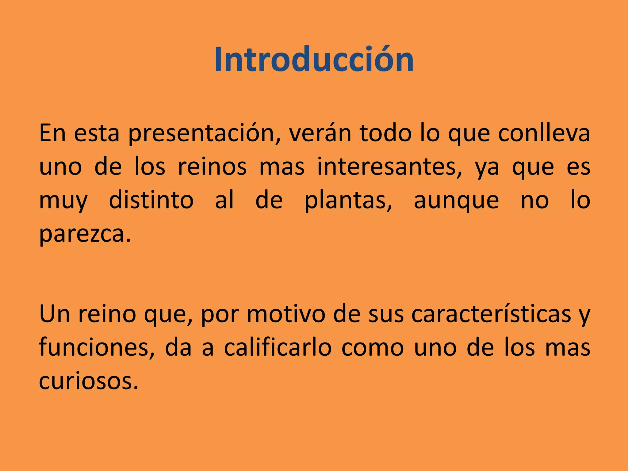 Reino fungi biologia | PPTX