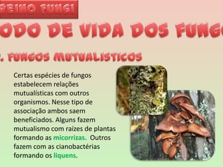 Reino FungiModo de vida dos fungos2. Fungos mutualisticosCertas espécies de fungos estabelecem relações mutualísticas com outros organismos. Nesse tipo de associação ambos saem beneficiados. Alguns fazem mutualismo com raízes de plantas formando as micorrizas.  Outros fazem com as cianobactérias formando os liquens. 