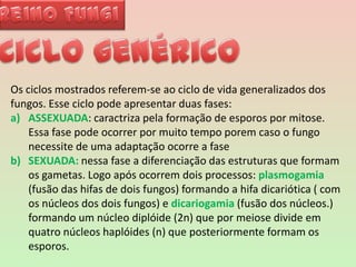 Reino FungiCiclo genérico  Os ciclos mostrados referem-se ao ciclo de vida generalizados dos fungos. Esse ciclo pode apresentar duas fases:ASSEXUADA: caractriza pela formação de esporos por mitose. Essa fase pode ocorrer por muito tempo porem caso o fungo necessite de uma adaptação ocorre a faseSEXUADA: nessa fase a diferenciação das estruturas que formam os gametas. Logo após ocorrem dois processos: plasmogamia (fusão das hifas de dois fungos) formando a hifa dicariótica ( com os núcleos dos dois fungos) e dicariogamia (fusão dos núcleos.) formando um núcleo diplóide (2n) que por meiose divide em quatro núcleos haplóides (n) que posteriormente formam os esporos. 