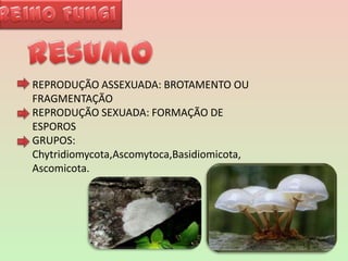 Reino FungiResumoREPRODUÇÃO ASSEXUADA: BROTAMENTO OU FRAGMENTAÇÃOREPRODUÇÃO SEXUADA: FORMAÇÃO DE ESPOROSGRUPOS: Chytridiomycota,Ascomytoca,Basidiomicota, Ascomicota.